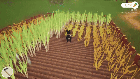 HarvestingAndGrinding2